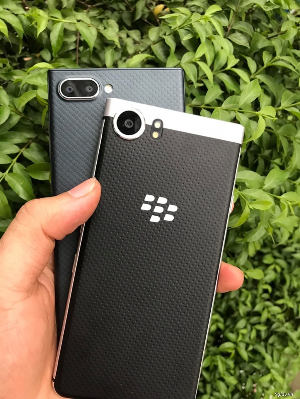 Blackberry KeyOne và Passport - 2