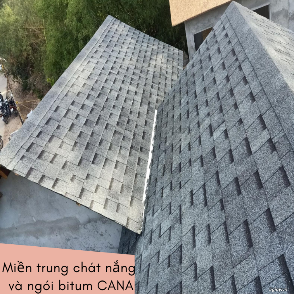 MÁI LỢP BITUM CANA VÀ MIỀN TRUNG CHÁT NẮNG☀️ - 3