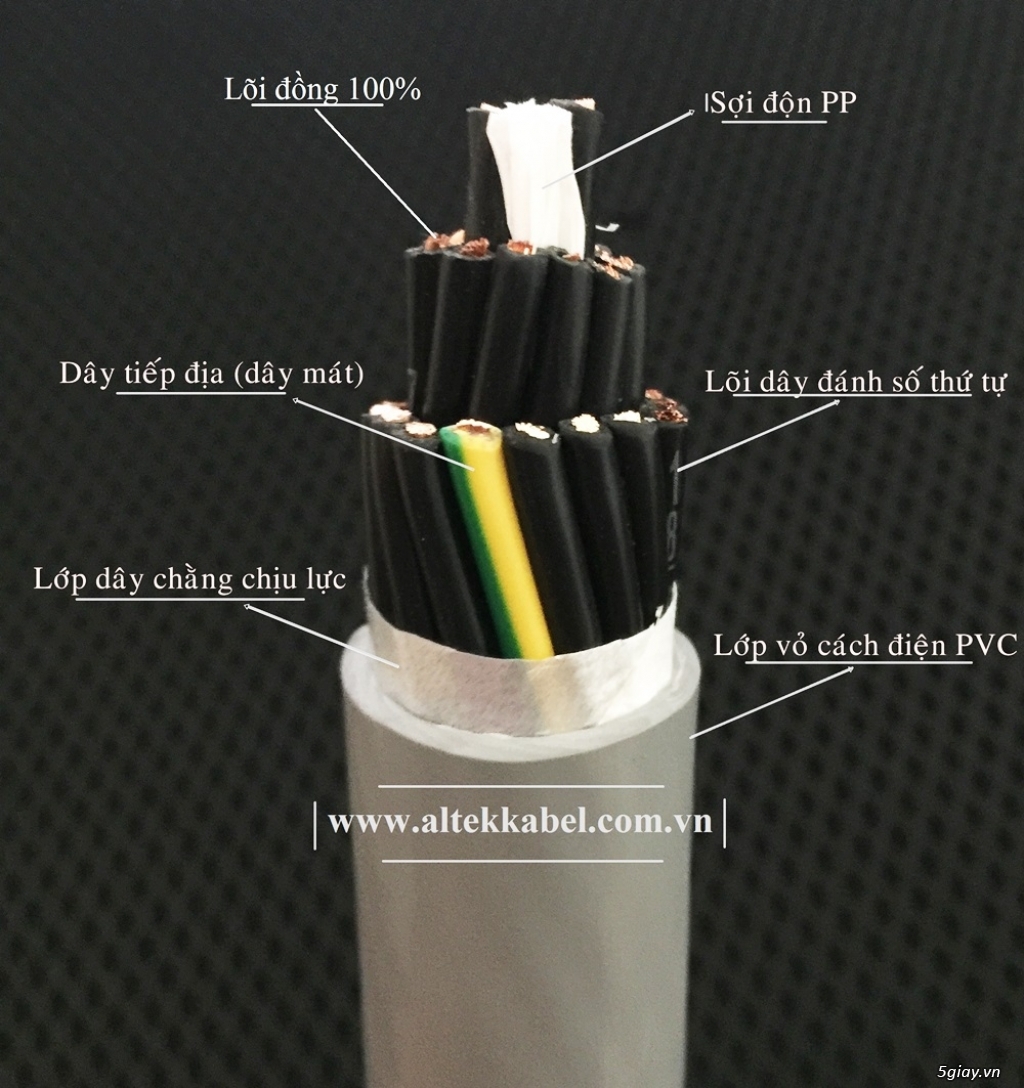 Cáp điều khiển RVV/ Cáp điều khiển RVVP Altek Kabel - 2