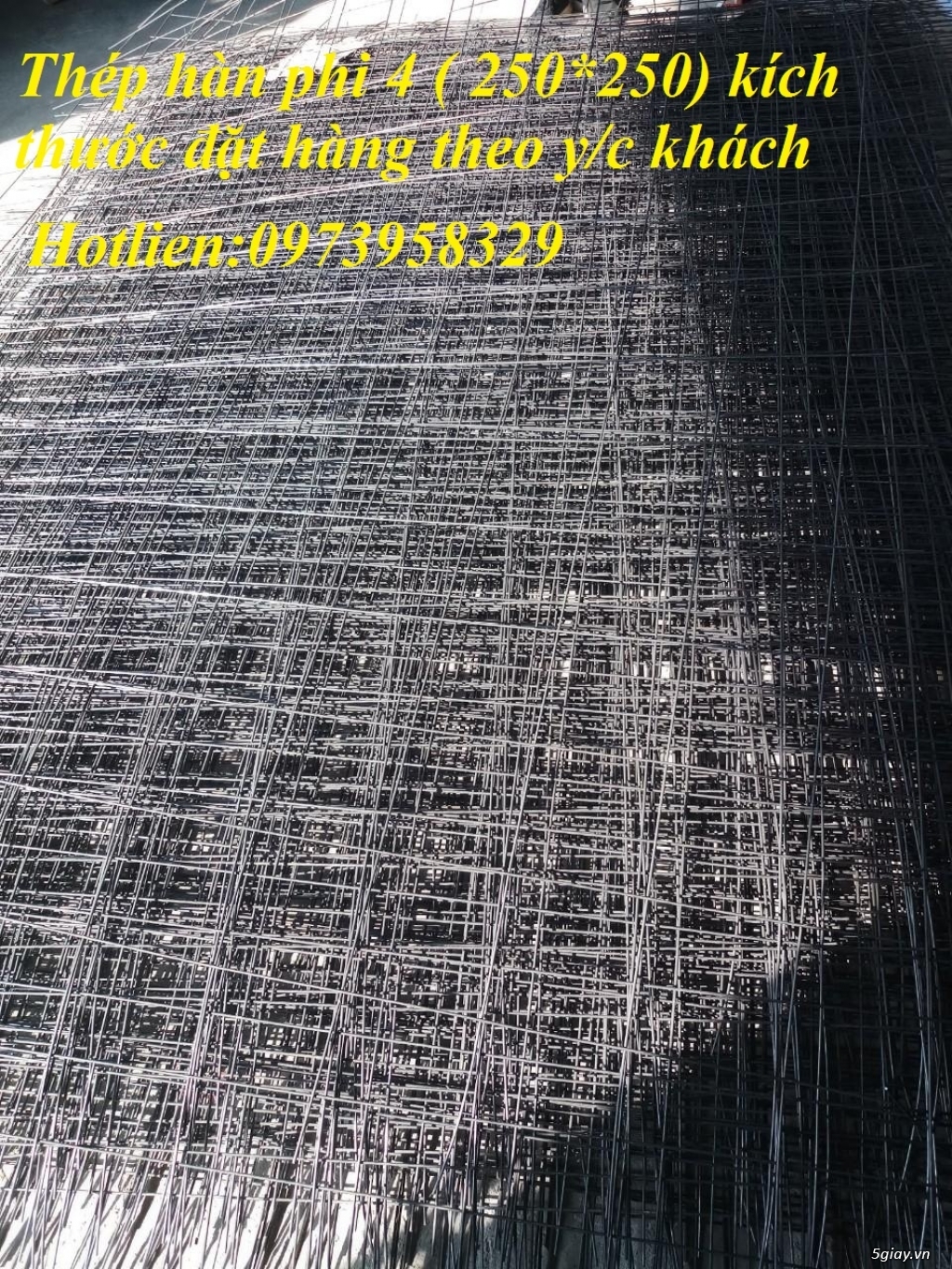Cung cấp lưới đổ sàn - lưới hàn chập dạng cuộn / tấm D4 ( 100 *100), - 9