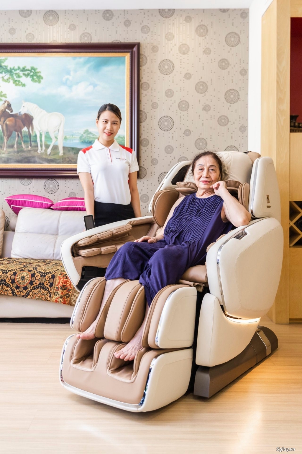 Ghế Massage Inada/Maxcare/OHCO - Nhập khẩu Nhật Bản bởi Maxcare Home