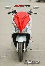 mat na xe nvx - 3