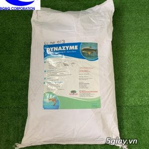 Dynazyme - enzyme tăng hấp thu khoáng chất