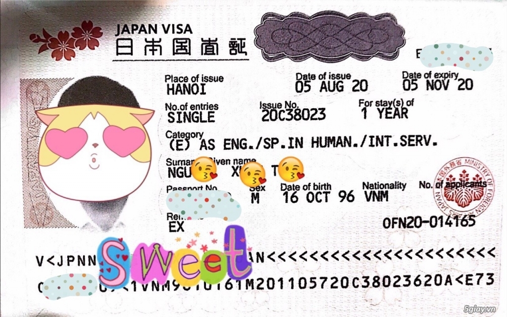 Chuyên visa Nhật các diện