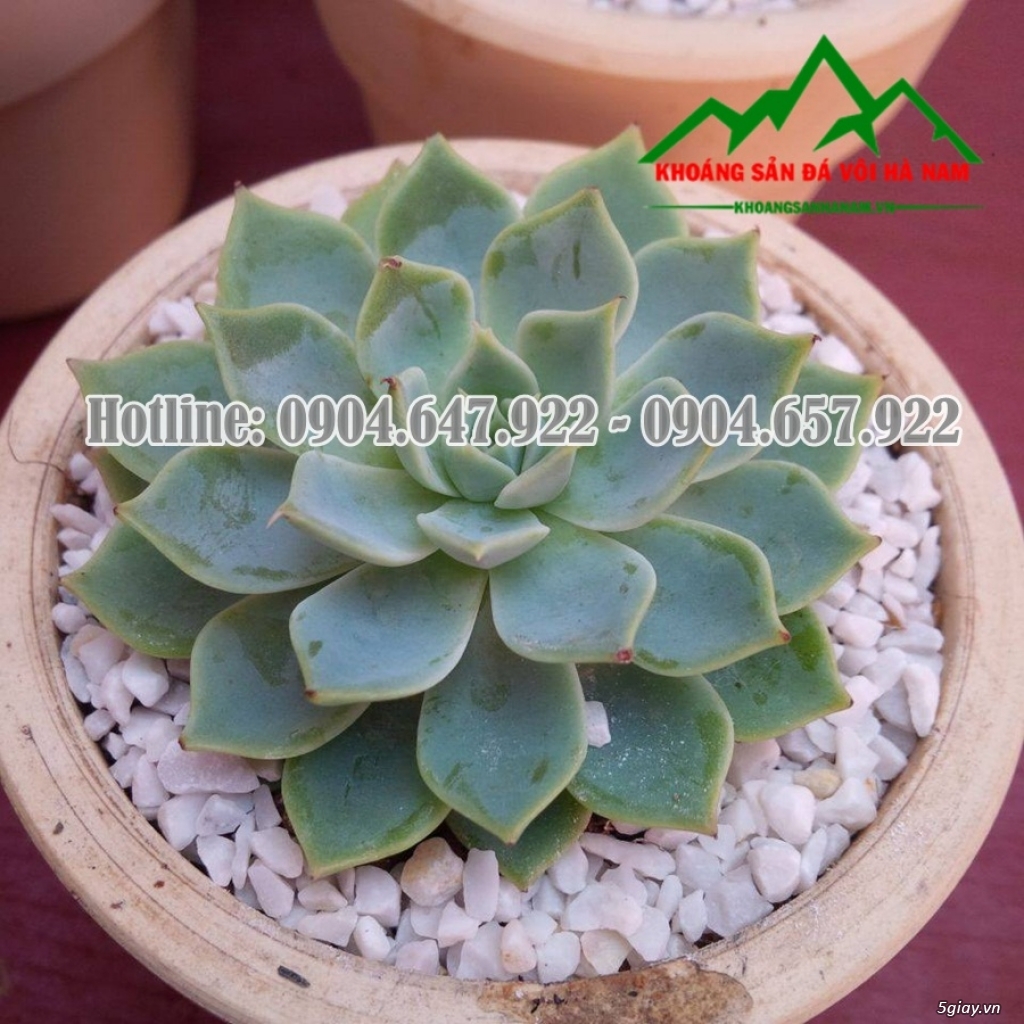 Cần bán: Sỏi trắng đẹp, chất lượng tốt, giá cạnh tranh - 31