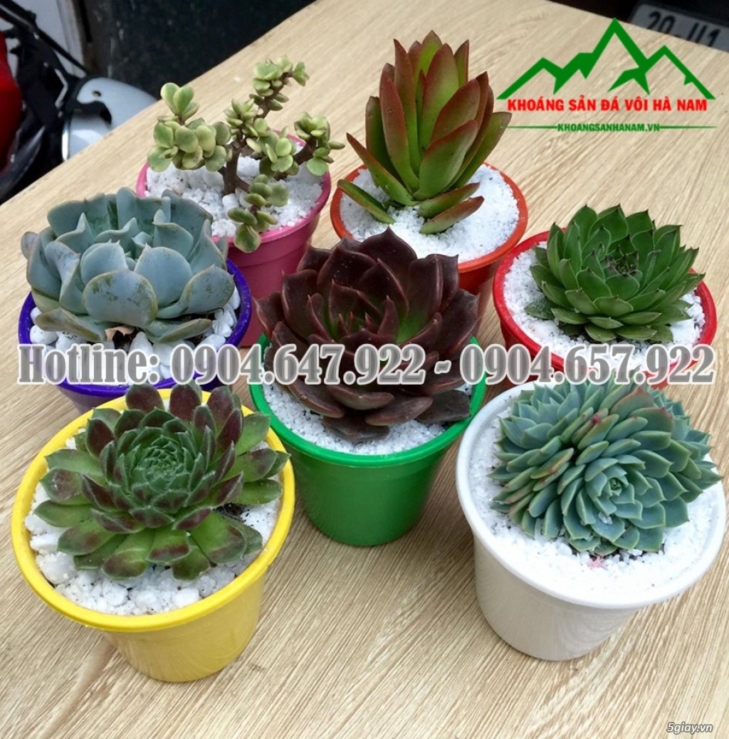 Cần bán: Sỏi trắng đẹp, chất lượng tốt, giá cạnh tranh - 28