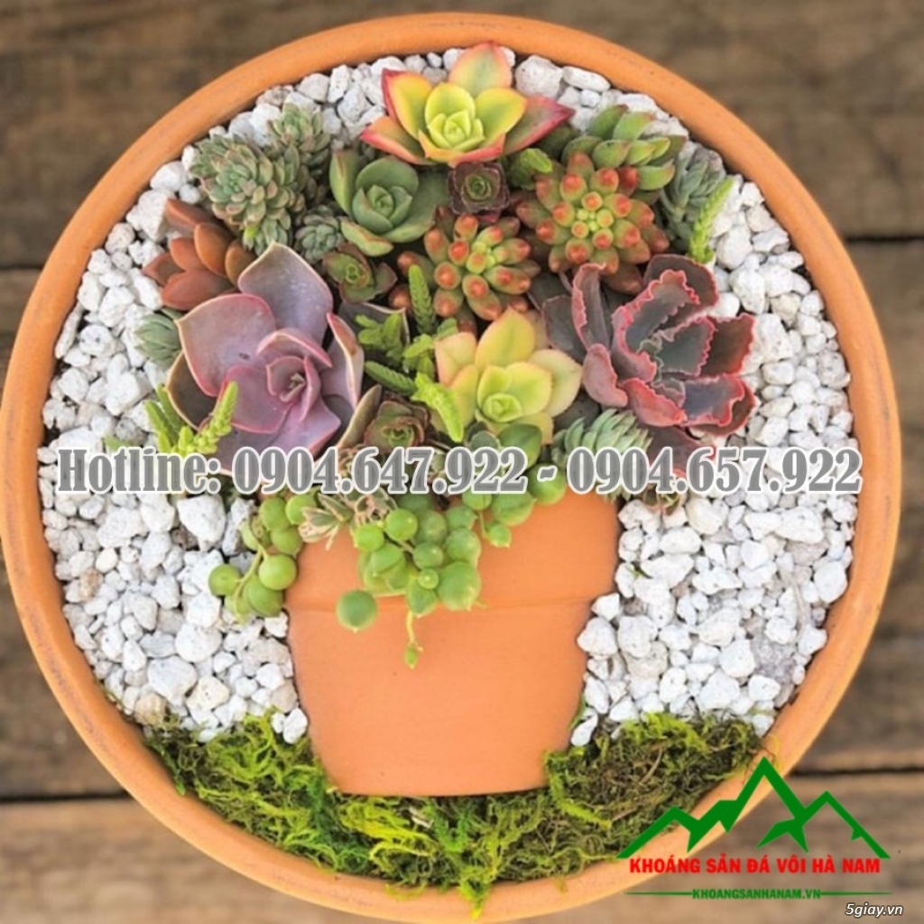 Cần bán: Sỏi trắng đẹp, chất lượng tốt, giá cạnh tranh - 27