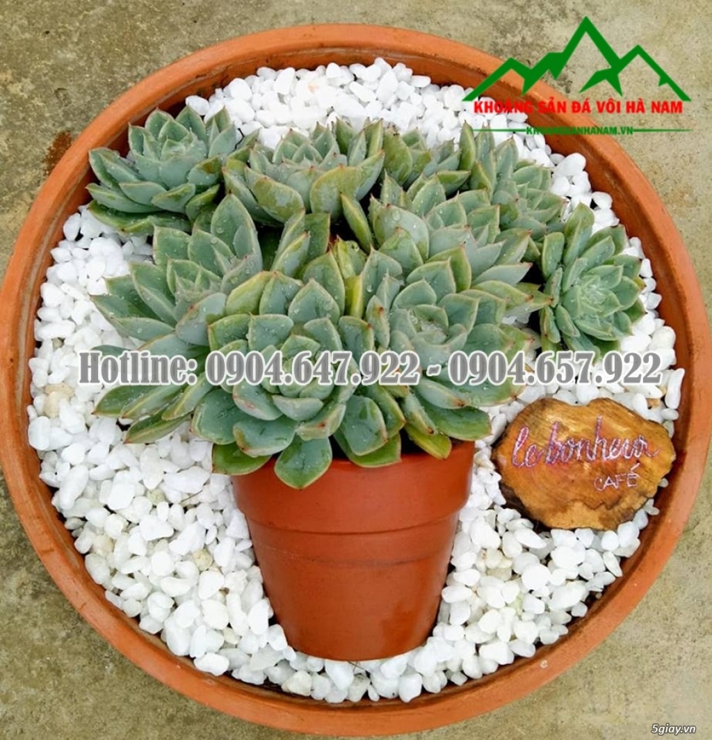 Cần bán: Sỏi trắng đẹp, chất lượng tốt, giá cạnh tranh - 39