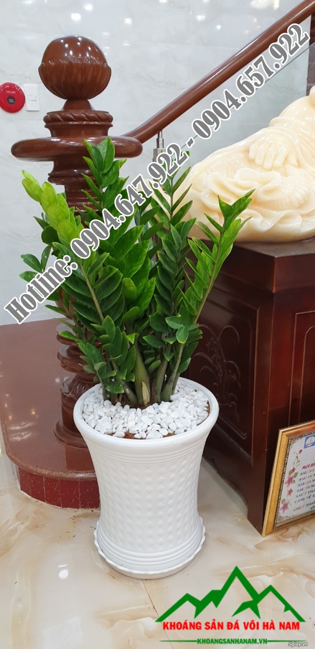 Cần bán: Sỏi trắng đẹp, chất lượng tốt, giá cạnh tranh - 29