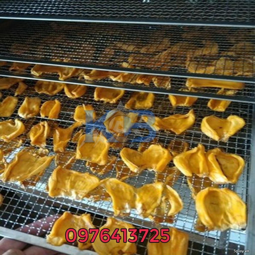 Máy sấy thực phẩm đa năng COUFA - 1