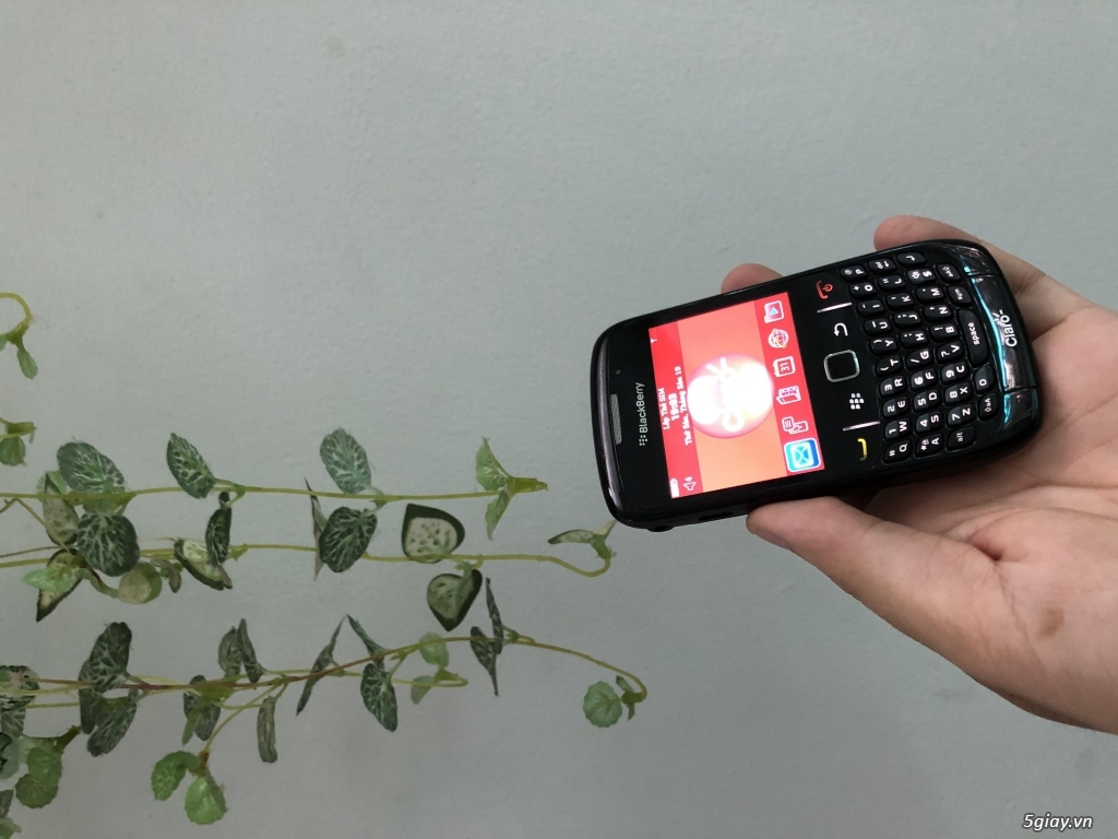 Blackberry Curve 8520 & 9320