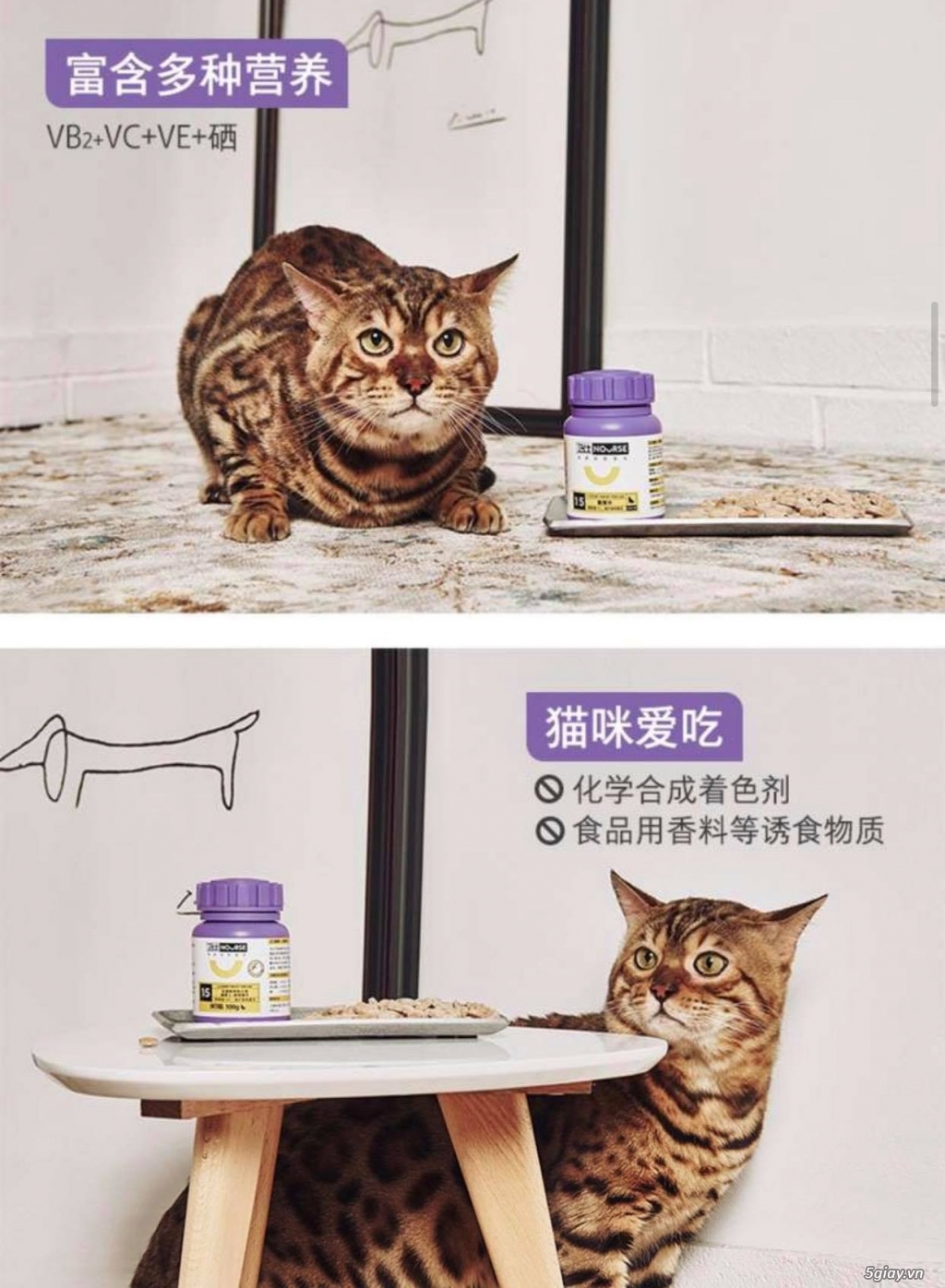 L-Lysine hỗ trợ đường hô hấp, tăng sức đề kháng cho mèo (Nourse 200v) - 5