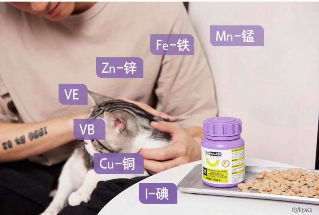 Vitamin cho mèo bổ sung nguyên tố vi lượng Nourse 21 (200v) - 2