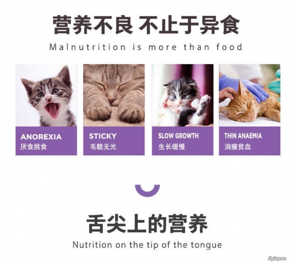 Vitamin cho mèo bổ sung nguyên tố vi lượng Nourse 21 (200v) - 5