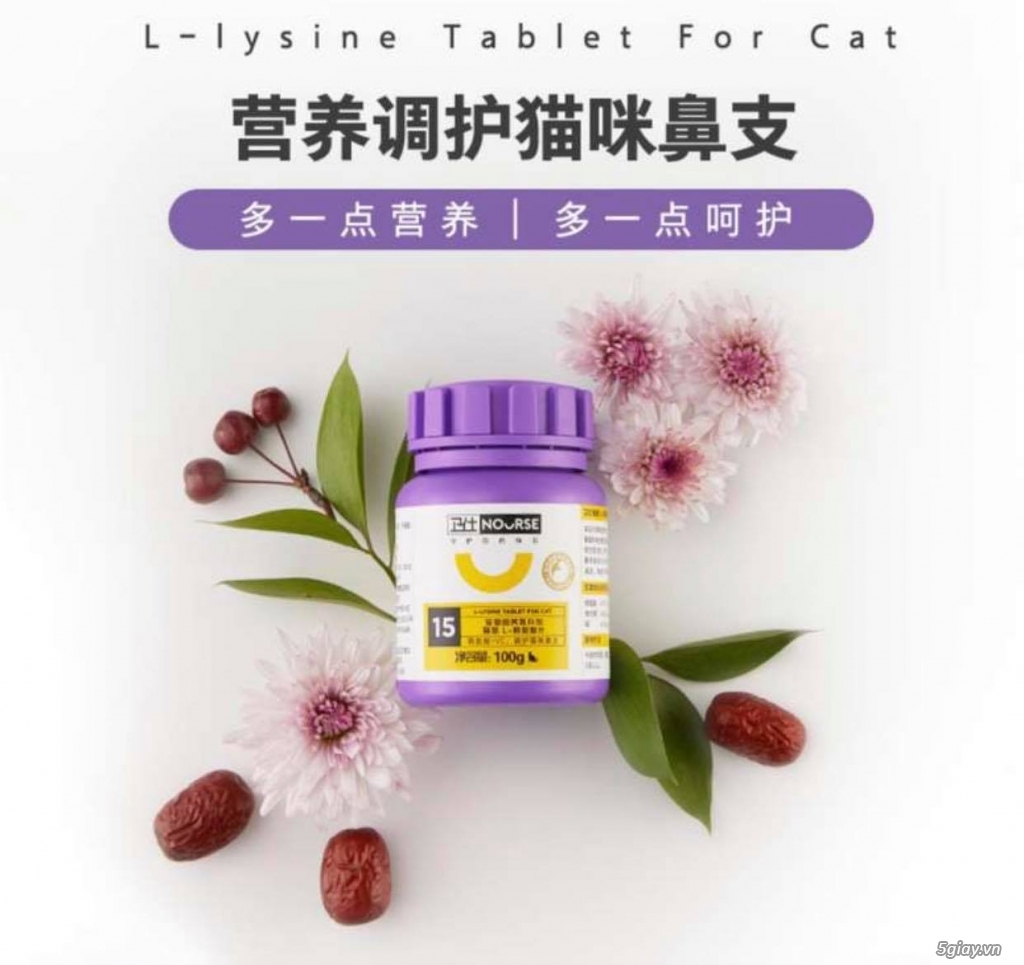 L-Lysine hỗ trợ đường hô hấp, tăng sức đề kháng cho mèo (Nourse 200v) - 2