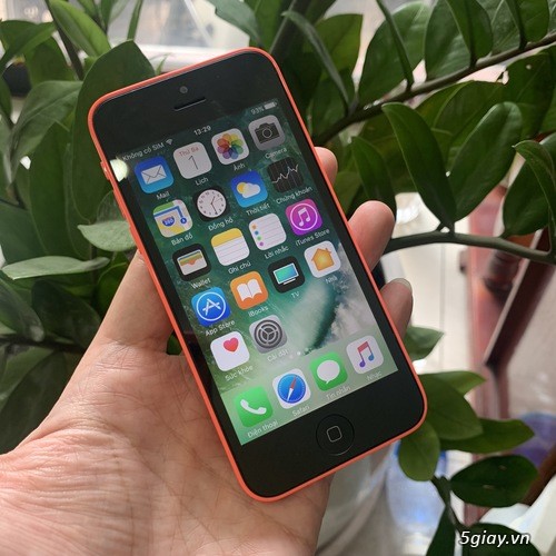 iPhone 5C 16Gb màu hồng zin đẹp 99% - 1