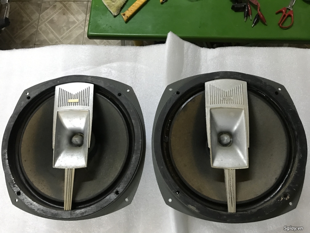 Loa full range Coral 10cx-50 - 4