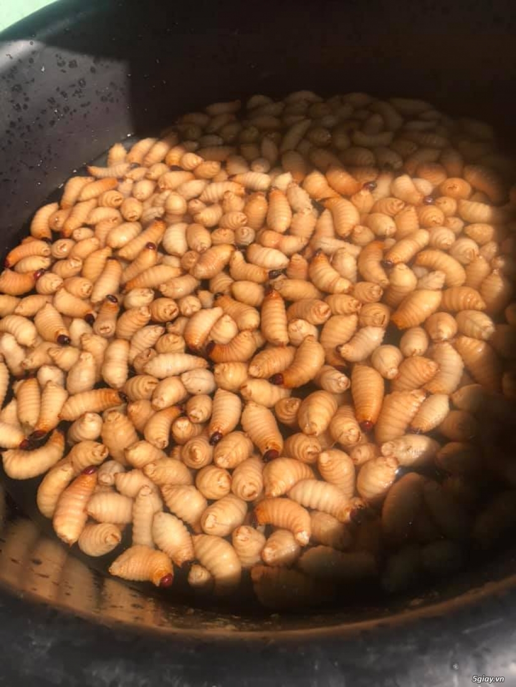 bán sỉ và lẻ đặc sản đuông dừa.! - 2