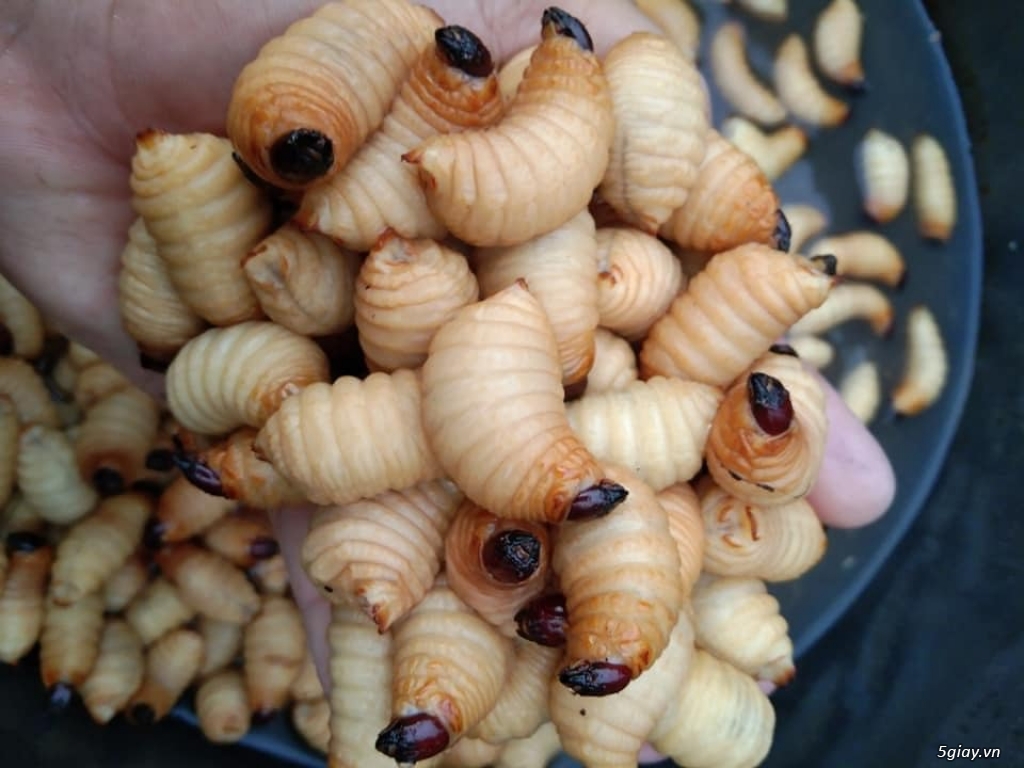 bán sỉ và lẻ đặc sản đuông dừa.! - 1