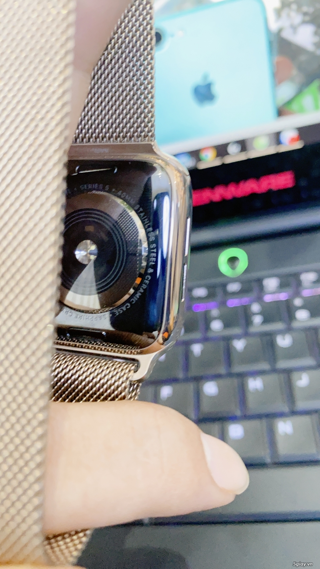 apple watch s5 stainless steel