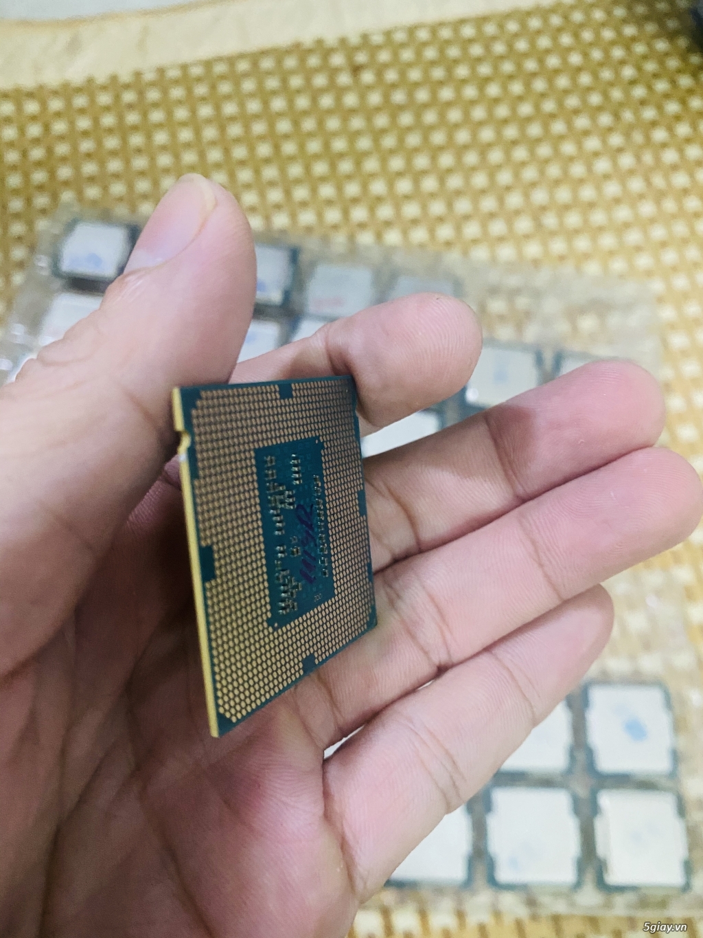 Cpu xeon E3 1220v3 sk 1150 - 1