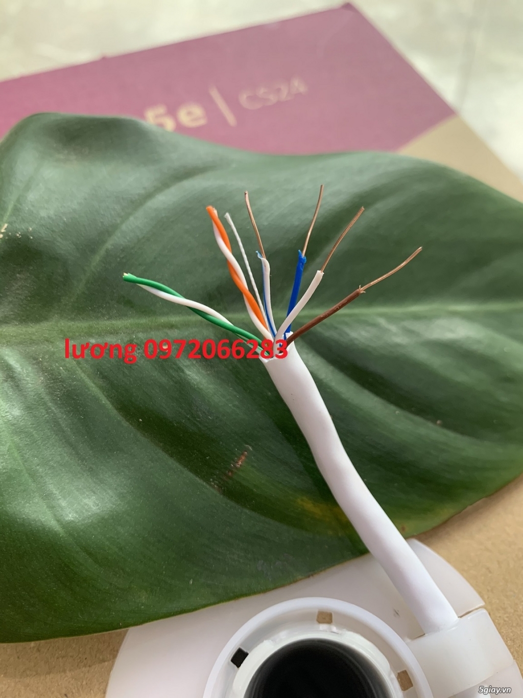 Cáp mạng Cat5e UTP COMMSCOPE mã PN: 6-219590-2 - 10