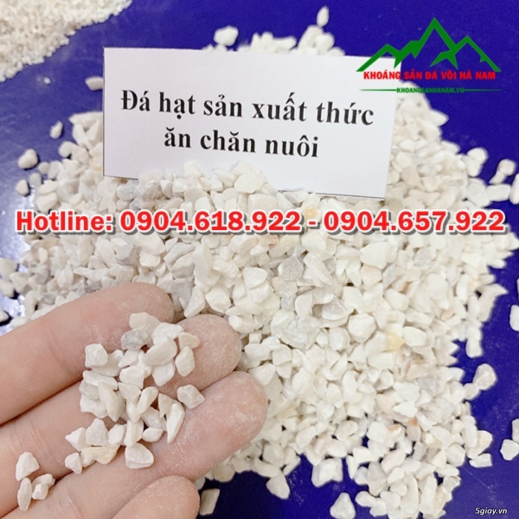 Cung cấp canxi cho gia súc - 2
