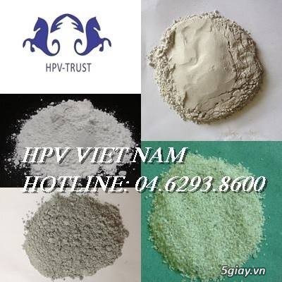 Bột đá CaCO3 giá tốt nhất - Công ty HPV Việt Nam