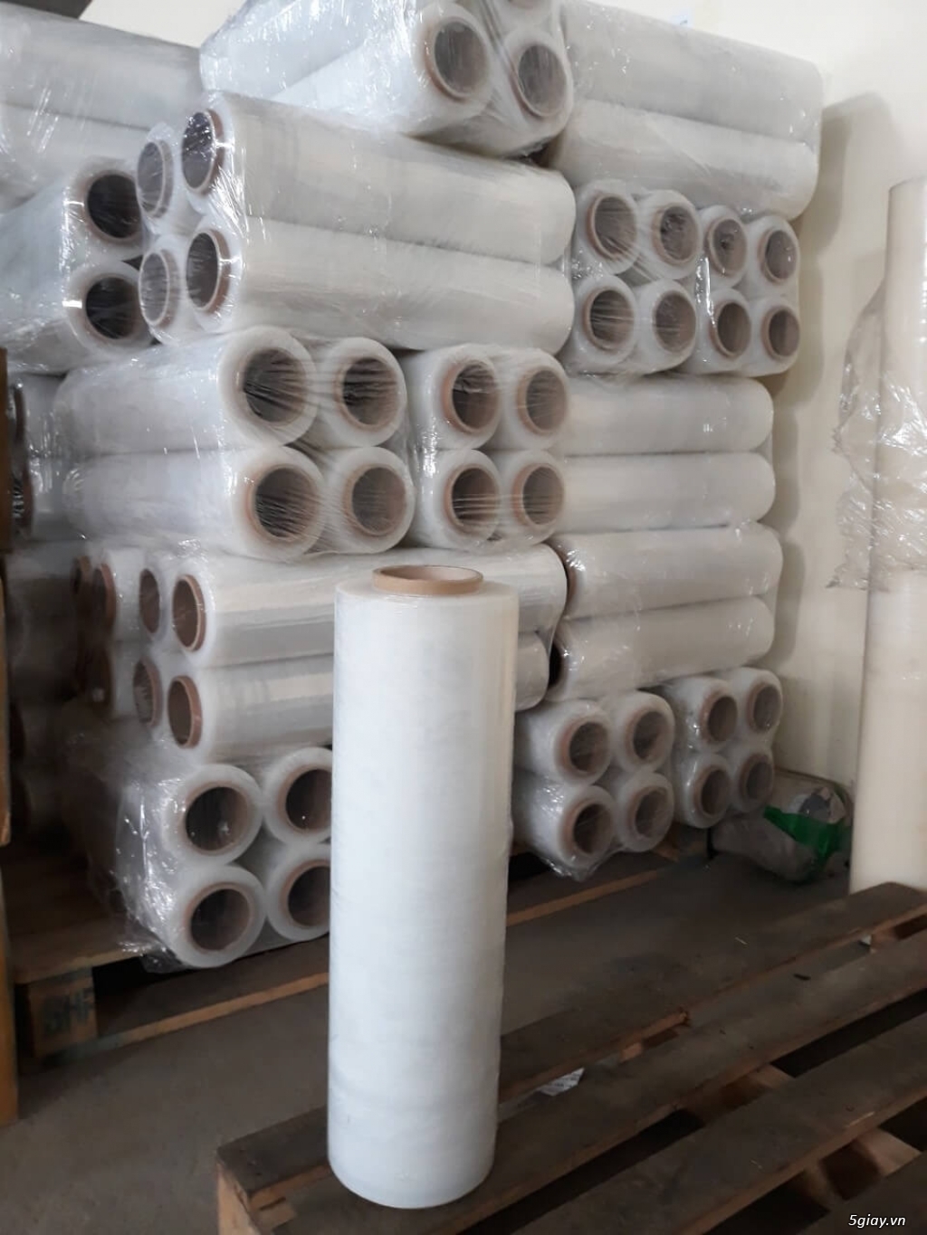 Màng PE giá rẻ Hải Phòng, cuộn PE bọc hàng Hải Phòng | 5giay