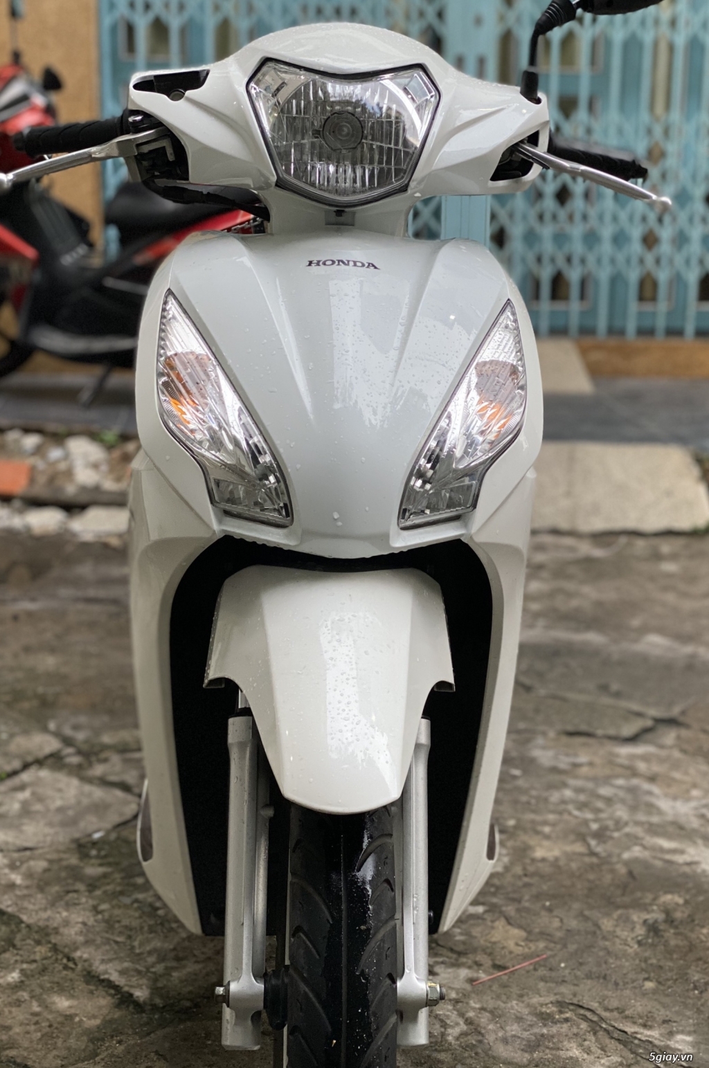 Vision 2015 biển thành phố chính chủ - 4