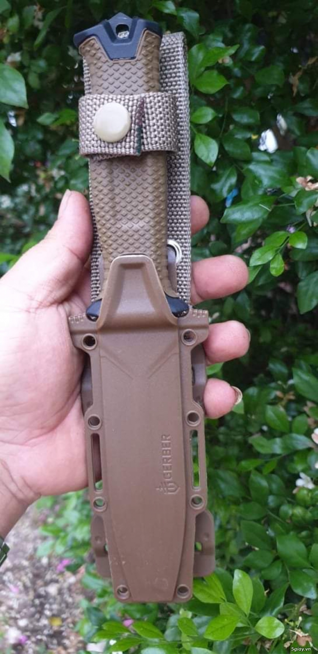 Dao sinh tồn Gerber Mỹ xịn - 4