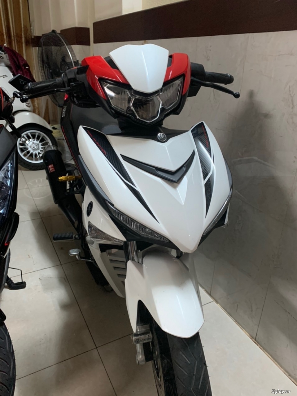 Cần bán ex150 và ab 110 - 2