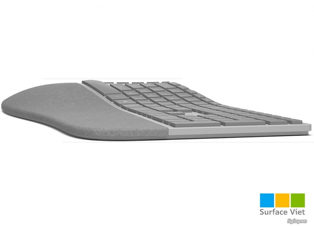 Surface Ergonomic Keyboard - 1