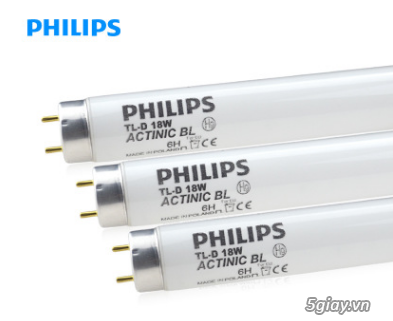Địa chỉ bán bóng đèn tia cực tím Philips Tại TPHCM - 4