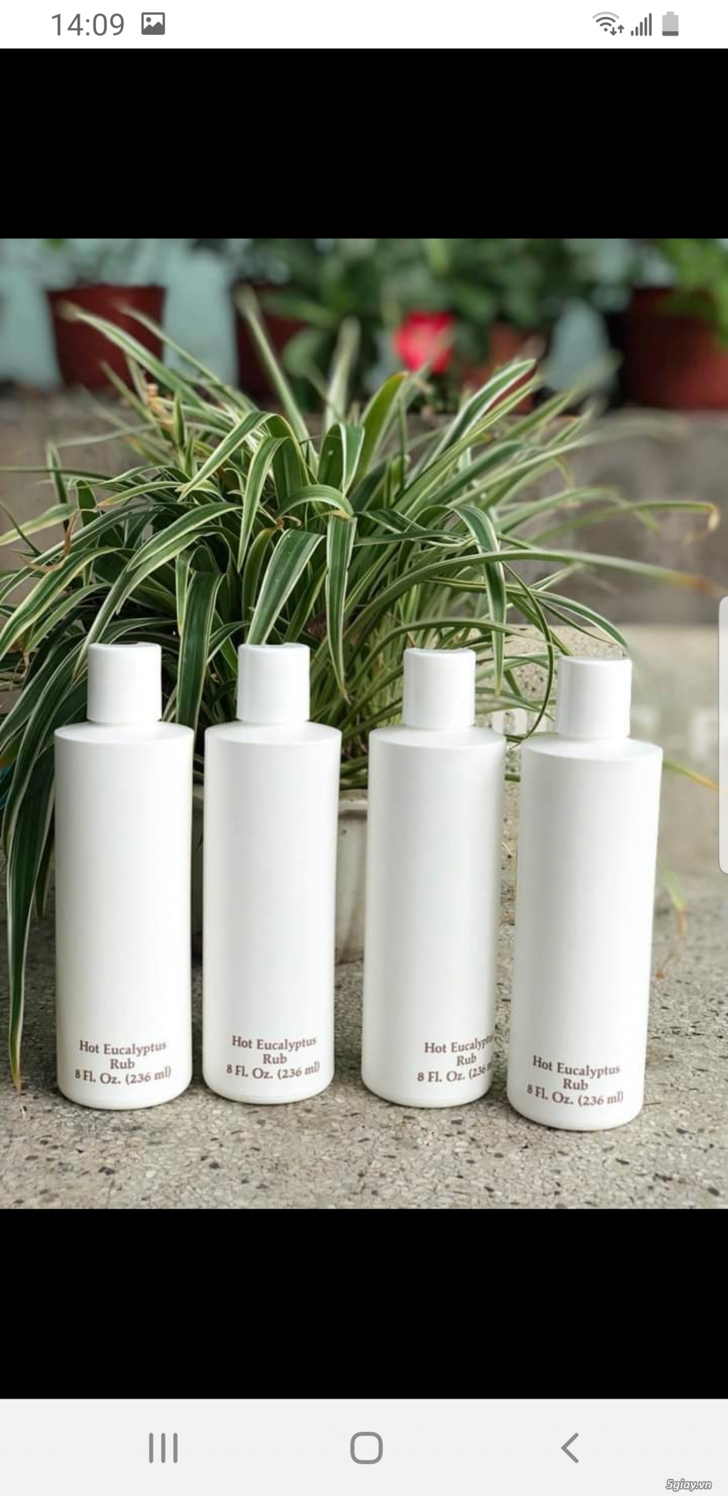 DẦU NÓNG  - HOT EUCALYPTUS RUB 236ml của Mỹ - 3