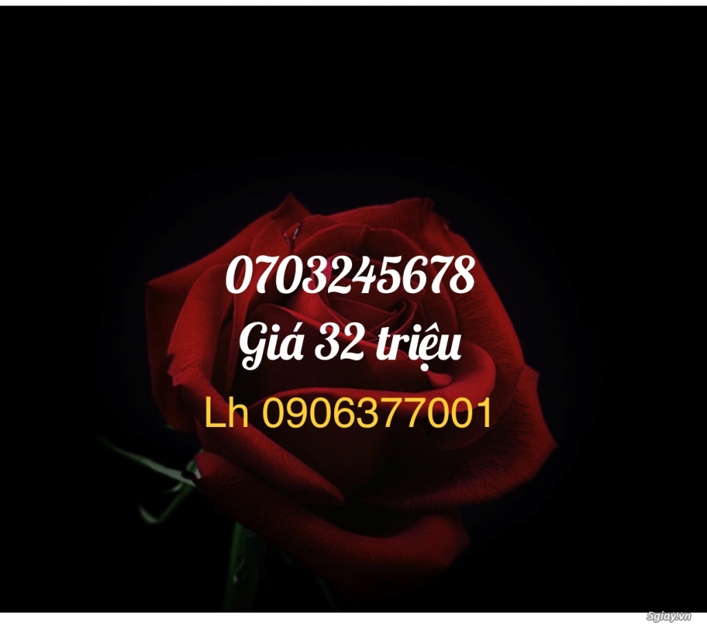Cặp sim 2345. Giá 5trieu - 2