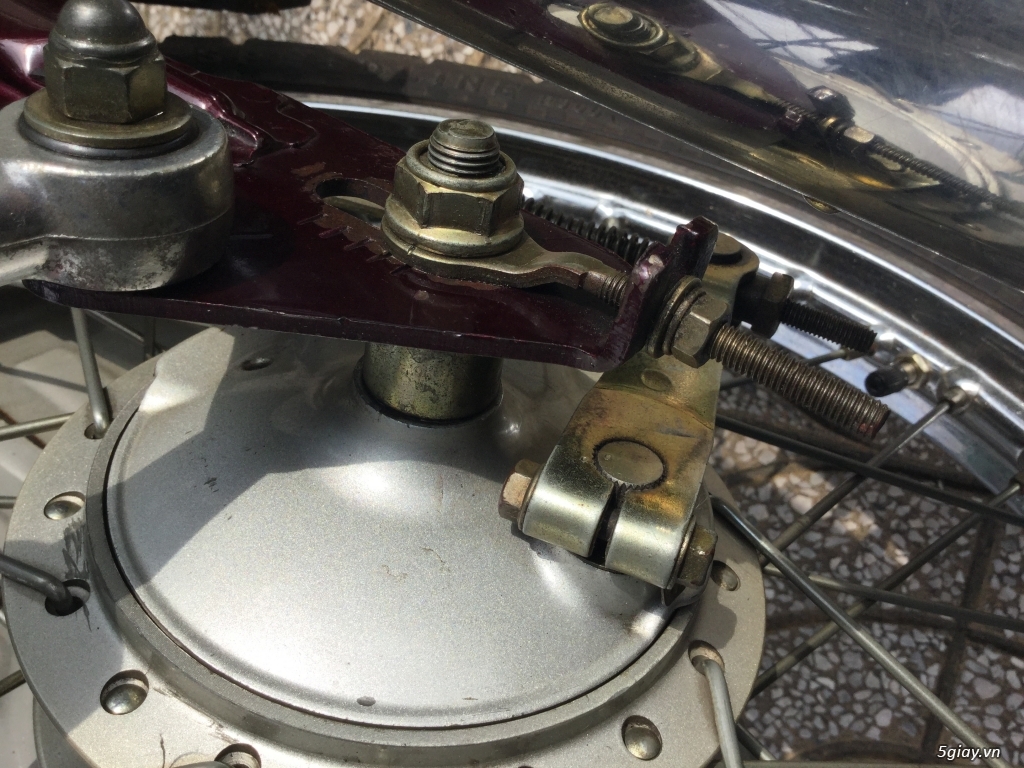 CiTi Cọp trùm mền dành cho ae đa mê - 3