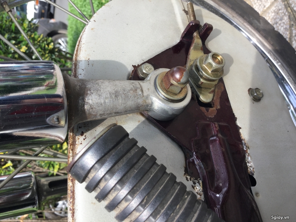 CiTi Cọp trùm mền dành cho ae đa mê - 11