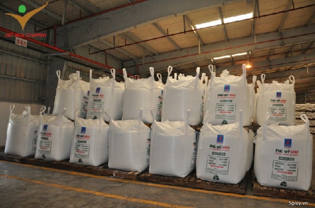 Bao Jumbo Bigbag -----  Bụng to không lo chết đói - 1