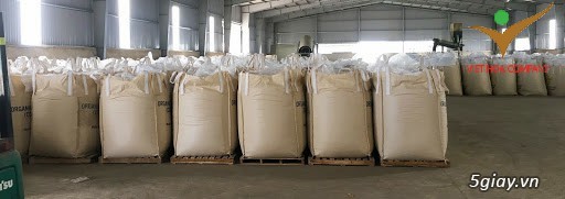 Bao Jumbo Bigbag -----  Bụng to không lo chết đói