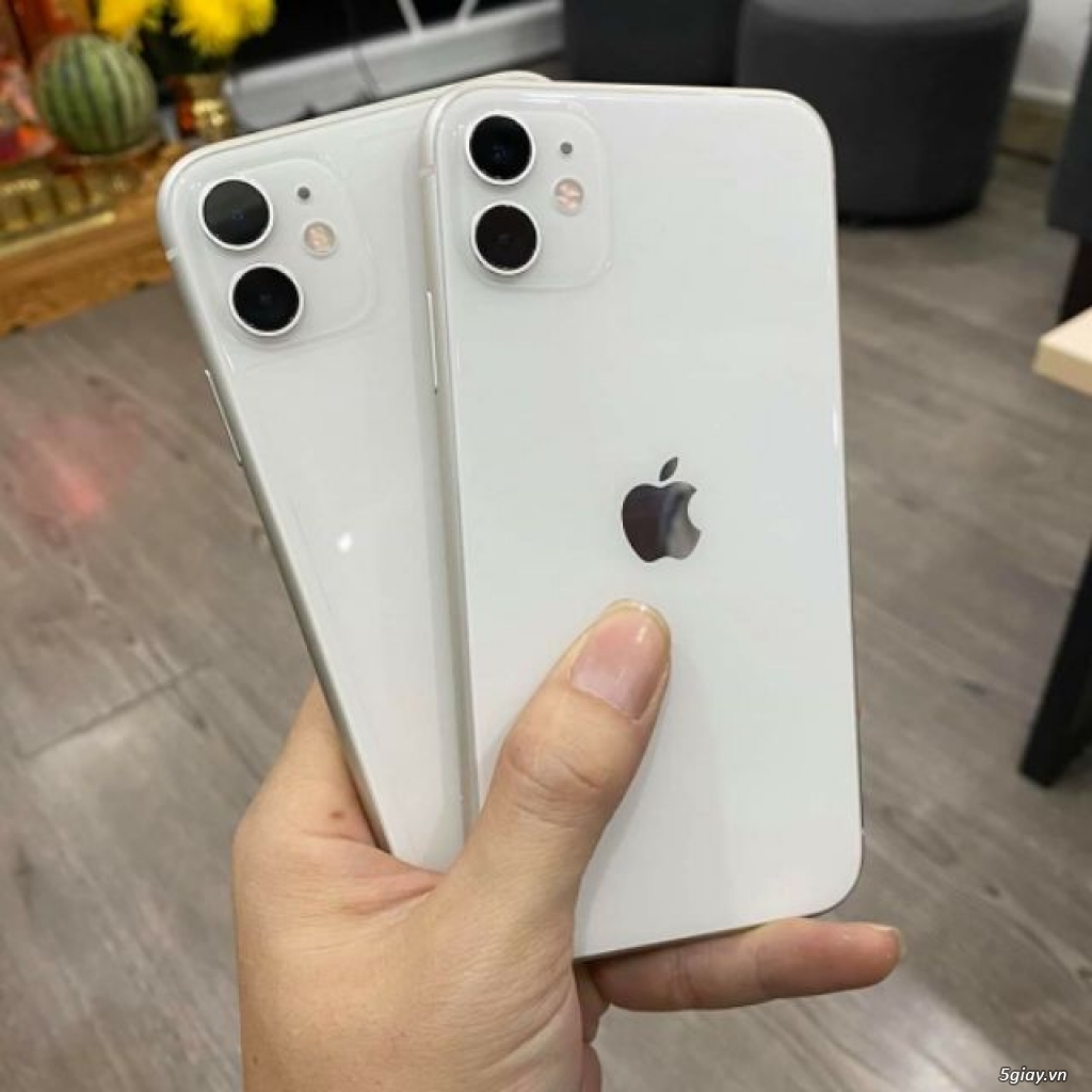 IPHONE 11 64GB