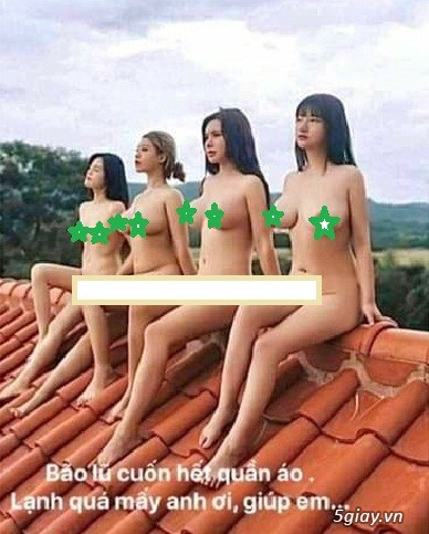 Năm nay ổn không anh em