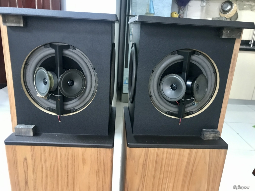 Loa Bose 10.2 - 5
