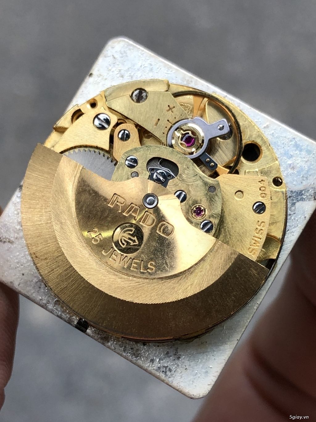 Đồng hồ Rado Manhattan trắng - 6