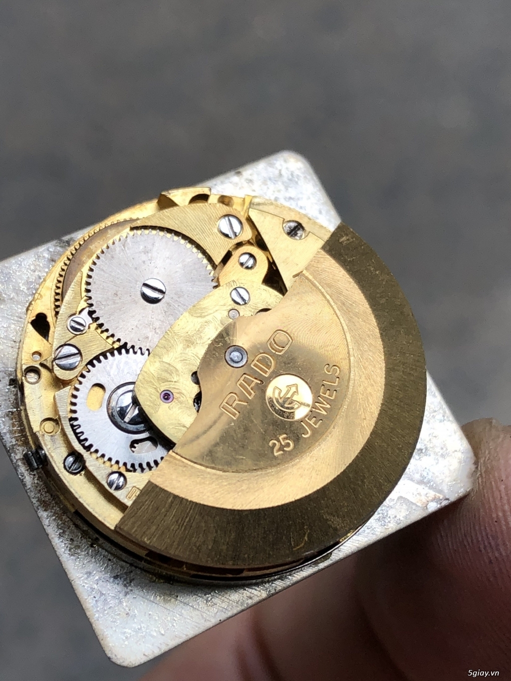 Đồng hồ Rado Manhattan trắng - 10