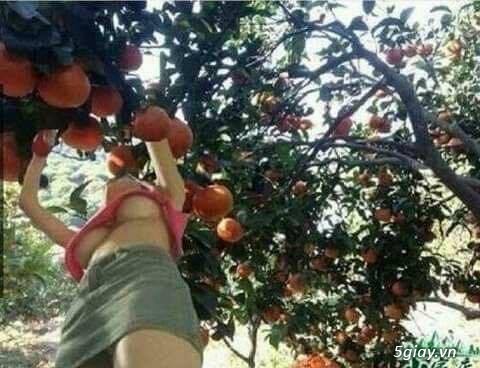 Diễn đàn 5 ít nick thảo luận quá