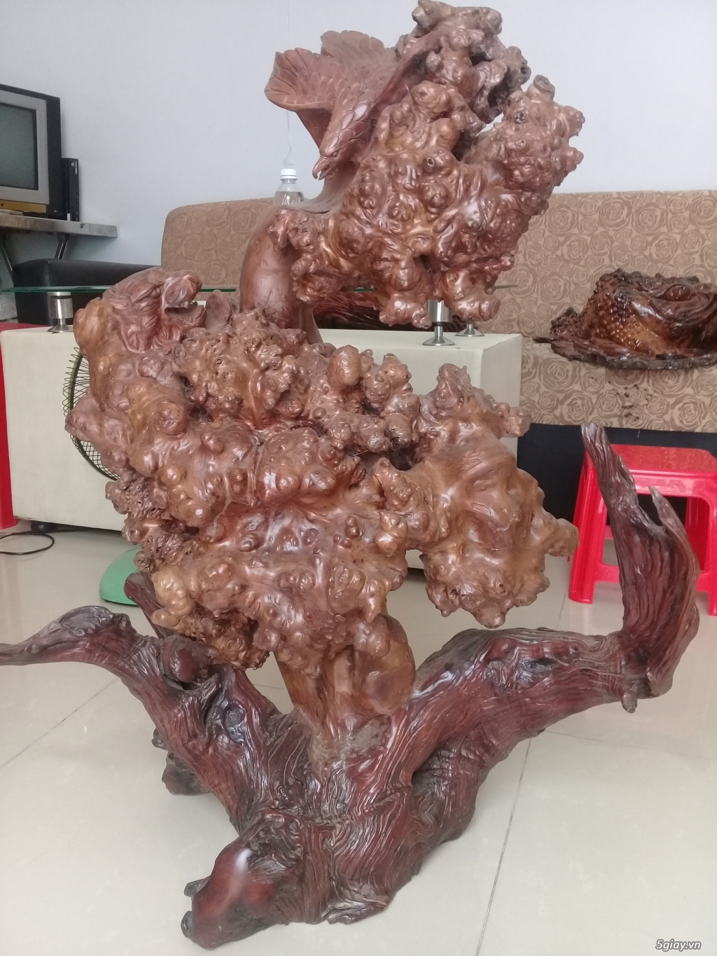 Bán thanh lý đô gô mỹ nghê giá rẻ - 1