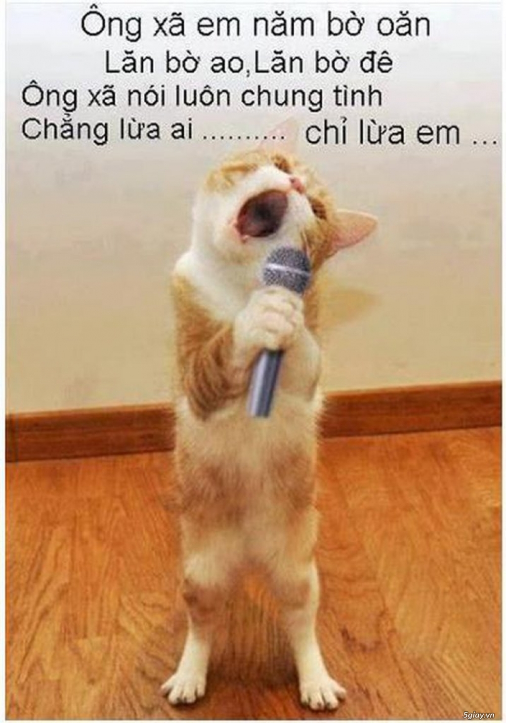 Diễn đàn 5 ít nick thảo luận quá - 2