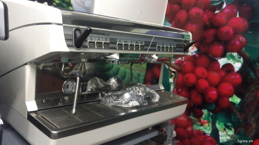 Địa điểm thanh lý máy xay Cafe cũ - Bán máy xay Cafe Mazzer Mini - 2