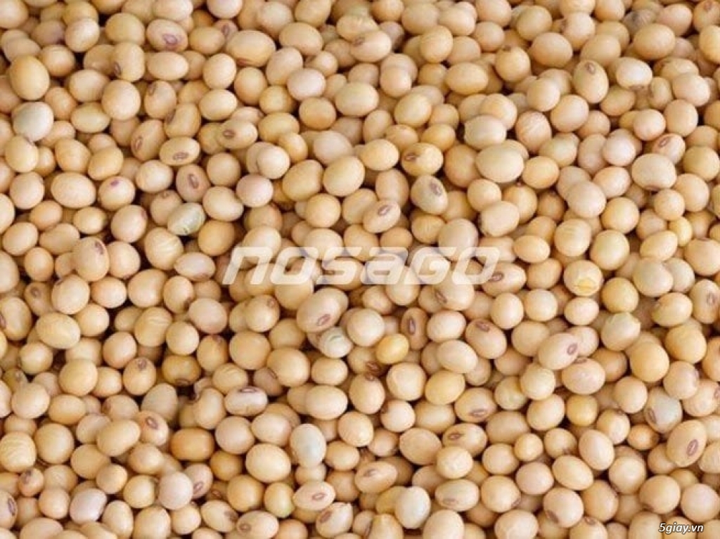 Cần bán nhanh 1 tấn đậu nành
